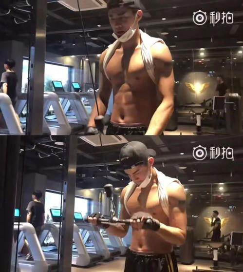 健身广场爆料视频大全集,揭秘健身圈那些事儿